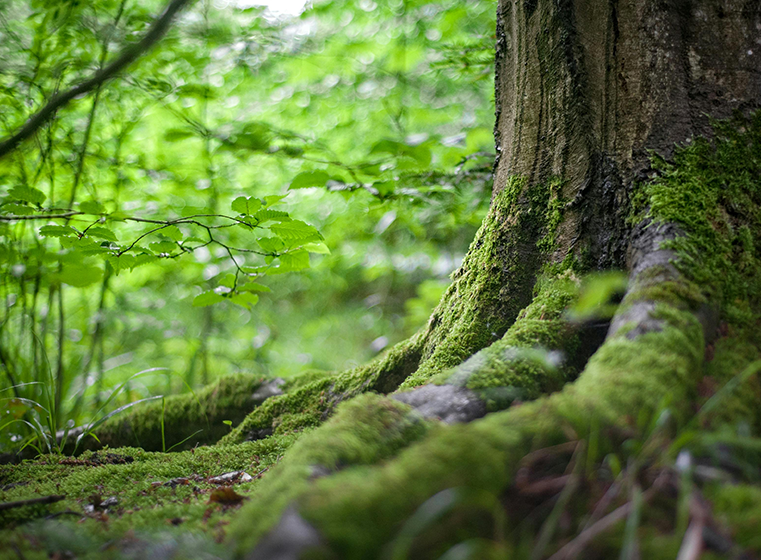 岡家具工業のこだわり